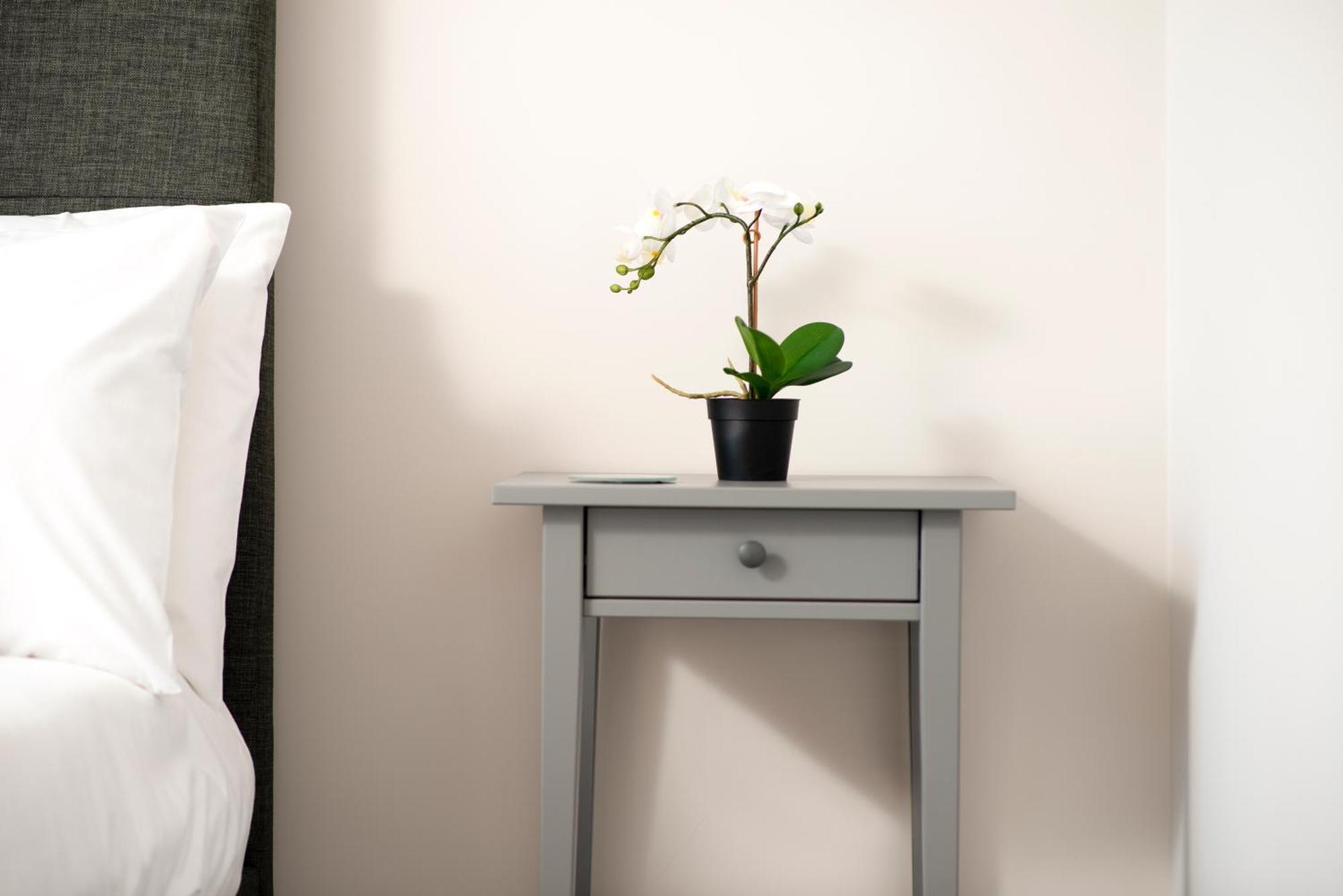 Morley Cottage - Modern 3 Bedroom, 2 Bathroom House With Garden In Southsea, Portsmouth Exteriör bild